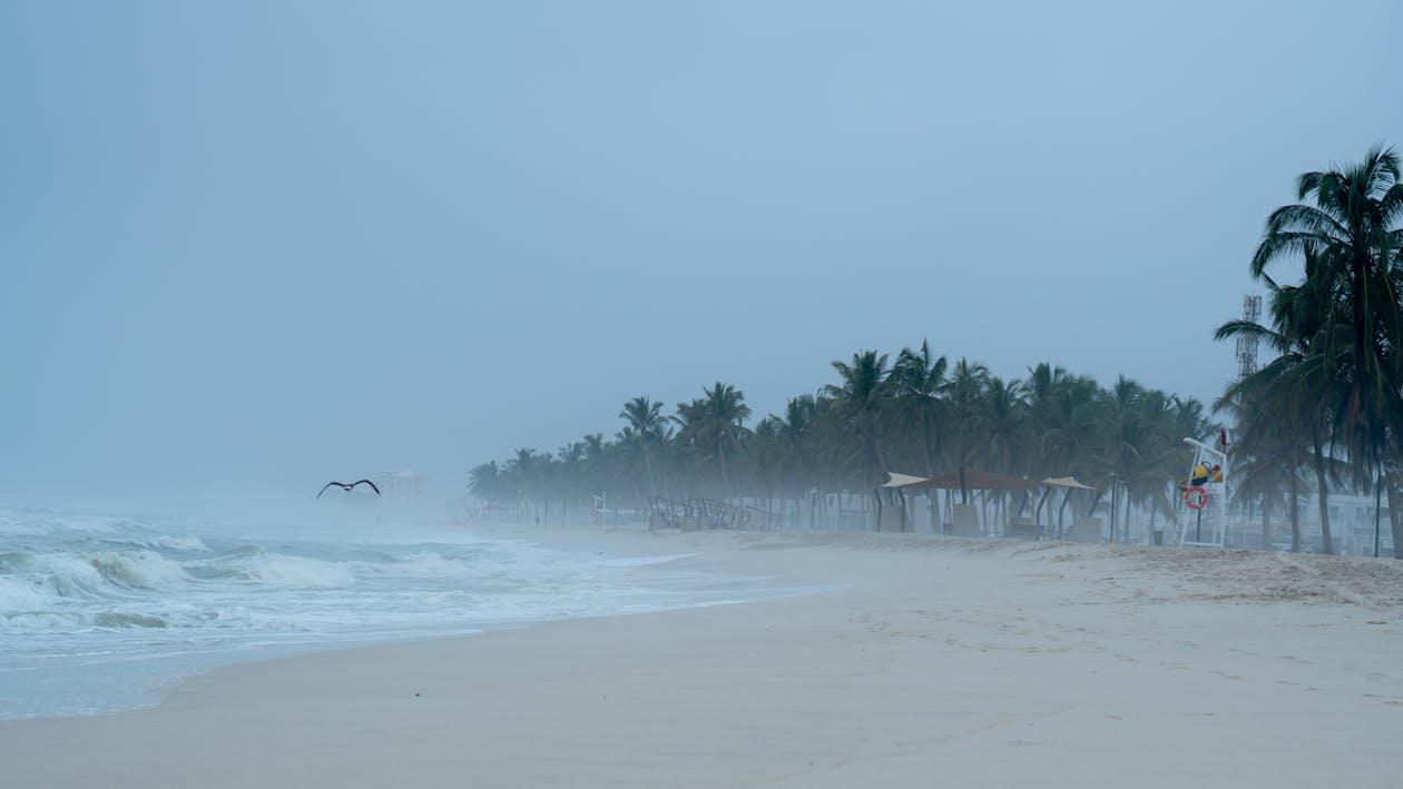 A storm on a Florida beach
