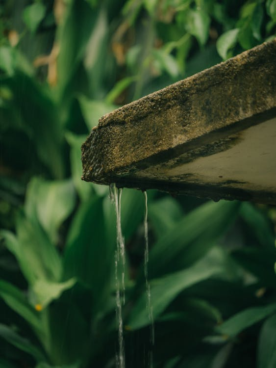 Water dripping from the roof