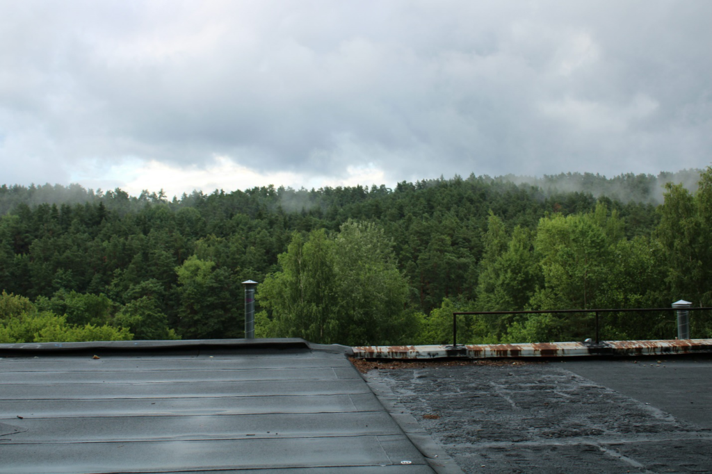 Roof with bitumen roofing